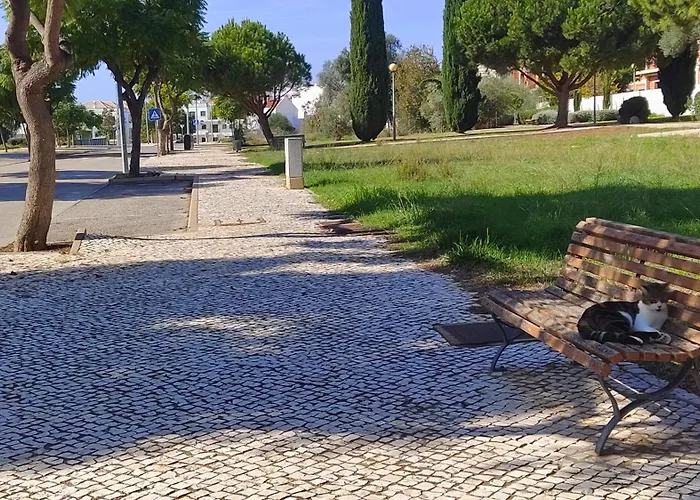 Island Escape - Blue *